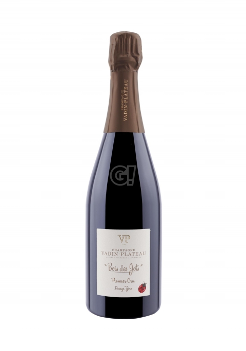 Champagne Vadin Plateau Terre des Moines 2017 Vendita online